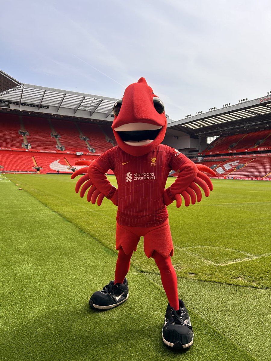MightyRed_LFC's tweet photo. 🌟WIN A LFC STADIUM TOUR FOR THE FAMILY🌟
To celebrate my upcoming special appearances on the LFC Stadium Tour, I am giving away a free family tour. 
To enter:
 To enter: 
- Like this post  
- Comment your favourite memory of Anfield https://t.co/CZRO78X46d