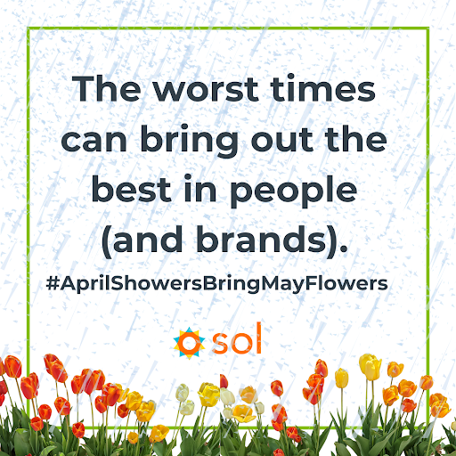 Sol Marketing tweet media