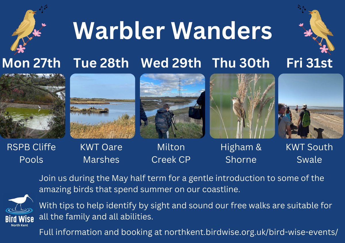 Join us next week for our Warbler Wanders Suitable for all and well-behaved dogs on leads are welcome too 🥾🐾🐶 Walks are free to attend but spaces are limited so book here northkent.birdwise.org.uk/bird-wise-even… #birdwise #medway #swale #gravesham #canterbury #halfterm #birdwatching #Kent