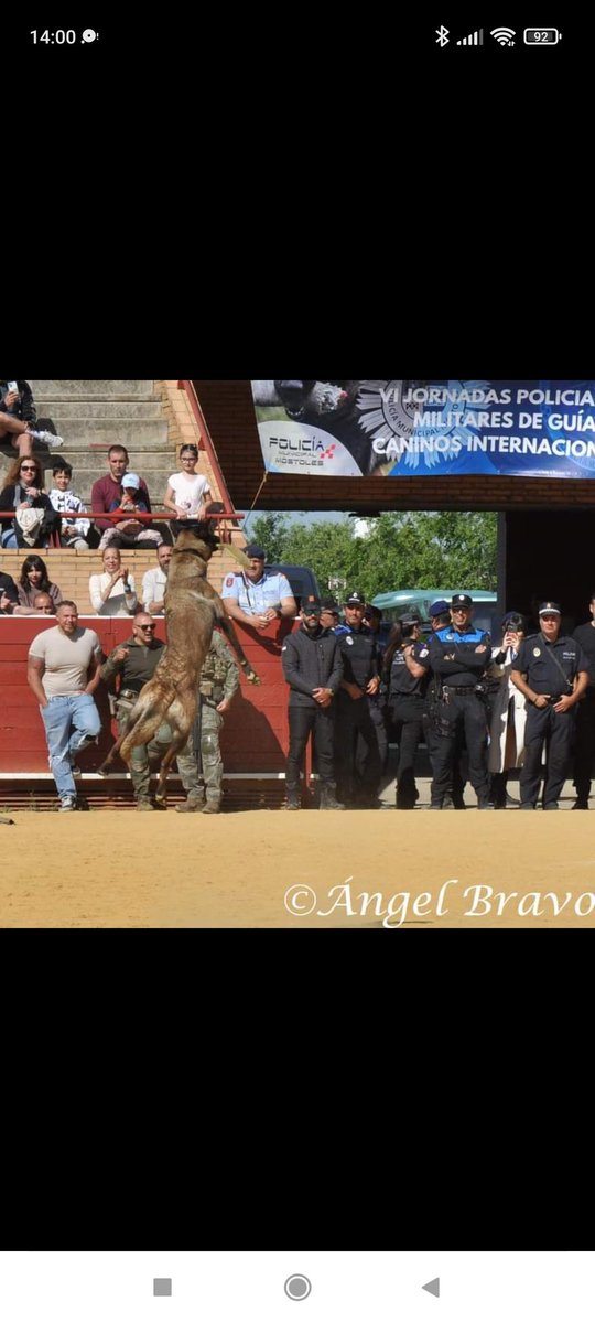 museo_rey's tweet photo. Saltos, obediencia, localización de drogas, explosivos, sangre, personas y dinero, detenciones, control, etc. hemos podido vivir una buena mañana en Móstoles con cuerpos policiales de España, Costa Rica, etc..
@policiaMostoles 
@guardiacivil https://t.co/OCyOa54xll