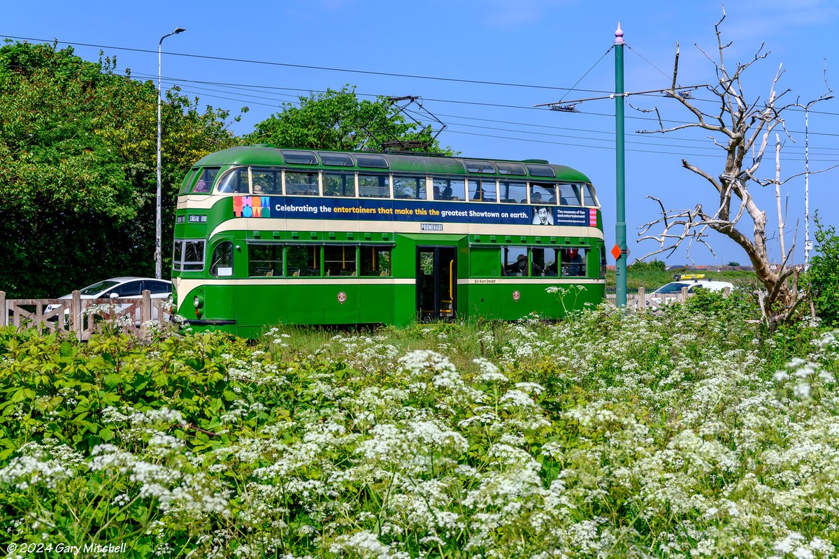 BplHeritageTram's tweet photo. Come and join us this weekend for our Event Weekend, we have the following to offer:

🔹Hop on/hop off timetable
🔸Lytham Bus Tours
🔹Ghost Tram 

Please note that the timetable has been amended. For more information, click below 👇
https://t.co/7PT3WxzG8D https://t.co/NFCCEM9zaC