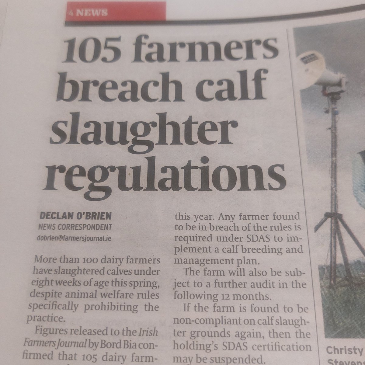 Despite the ban, 18,500 calves (under 8 weeks) were slaughtered this year. A decrease of 12k. FFS. #calving24 Why is it that some dairy farmers work all hours to try achieve O% mortality and other feckers do this?