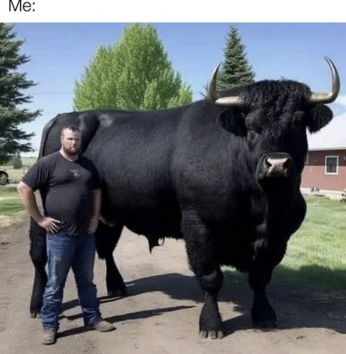 leonidasweid's tweet photo. Someone: How bullish about $treeb #treeb you are ser? https://t.co/7q5ML0pEJh