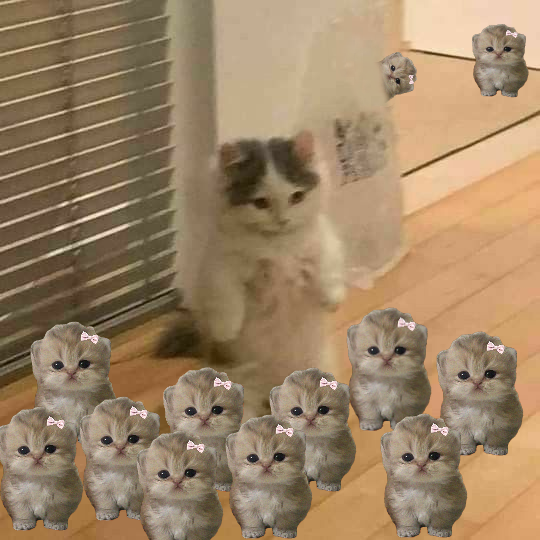 @lovelyhideous tweet media