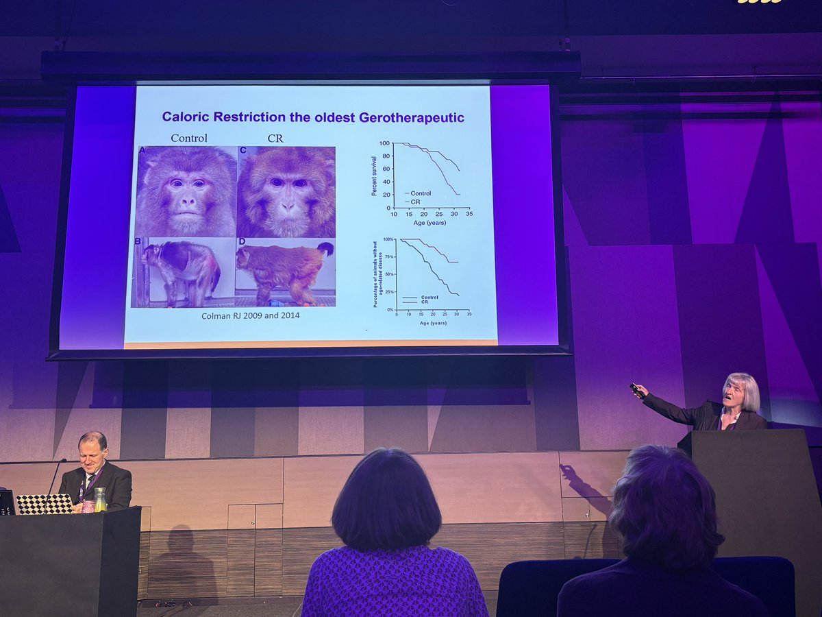 Reducing the calorific intake by a third — at least if you’re a fruit fly, yeast, mouse, or monkey — will mean you live 25% longer (and healthier) — just look at this “spunky monkey” on the right, says @Lord_Lab #bgsconf