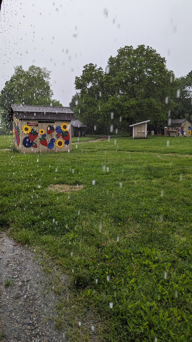 JonesFamilyFarm's tweet image. Hey @gilsimmons This rain is good for 🍓🍓🍓. It makes them grow! Heaviest spell right now in Shelton.