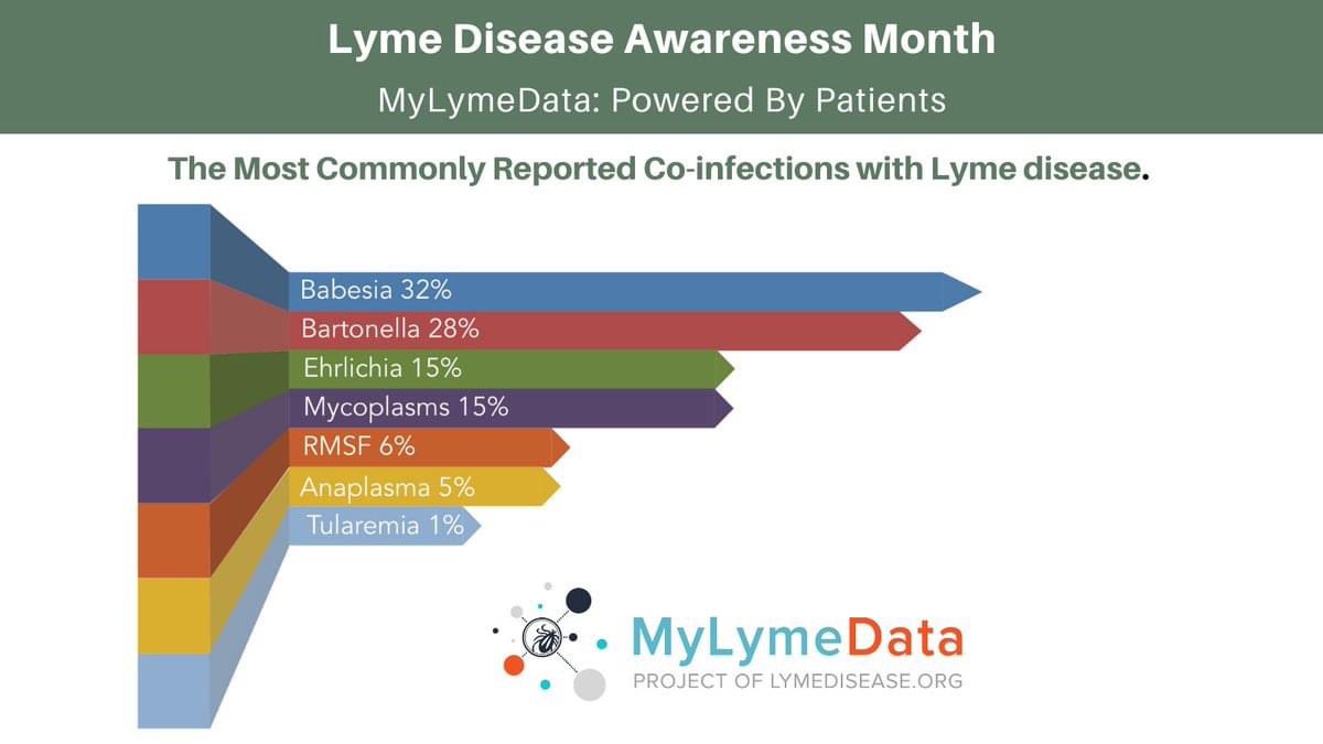 Ticks can carry many bacteria, viruses, fungi and protozoans all at the same time and transmit them in a single bite. Some pathogens, like Powassan virus can be transmitted in as little as 15 min. Learn more about co-infections: lymedisease.org/members/lyme-t… #LymeDiseaseAwarenessMonth