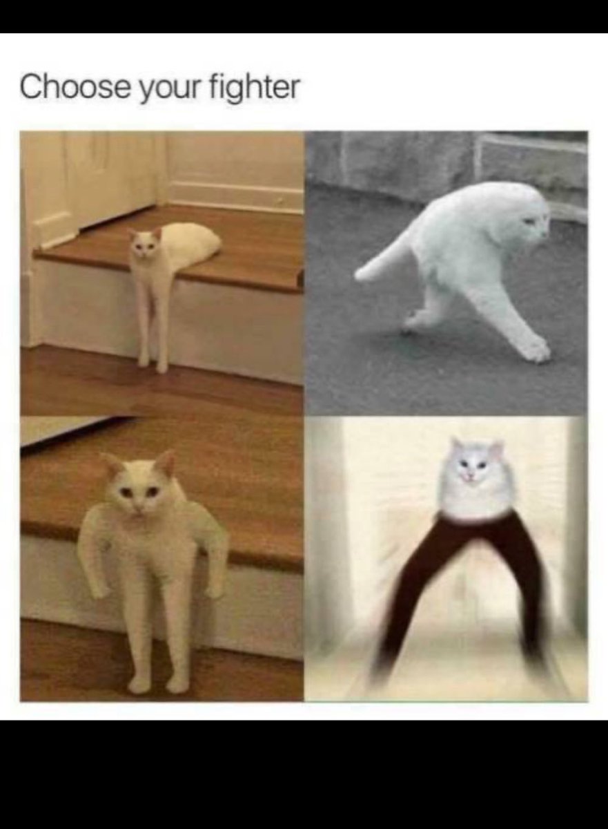 Dope_amine tweet media