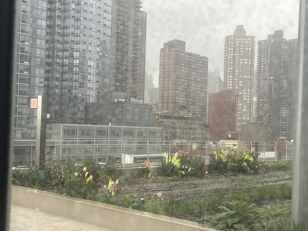 Taryn Delaney tweet media