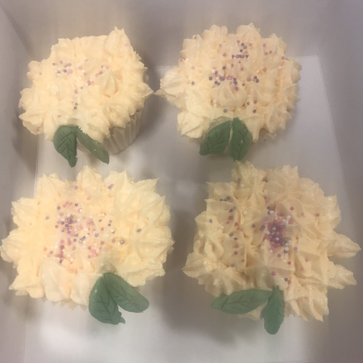 AwTechteach's tweet image. Today in goose week bake off… they made bread, sausage rolls, cinnamon swirl pancakes (dropped scones) milk shakes and showstopper cupcakes! #portlethenacademy #teachertwitter #bakeoff
