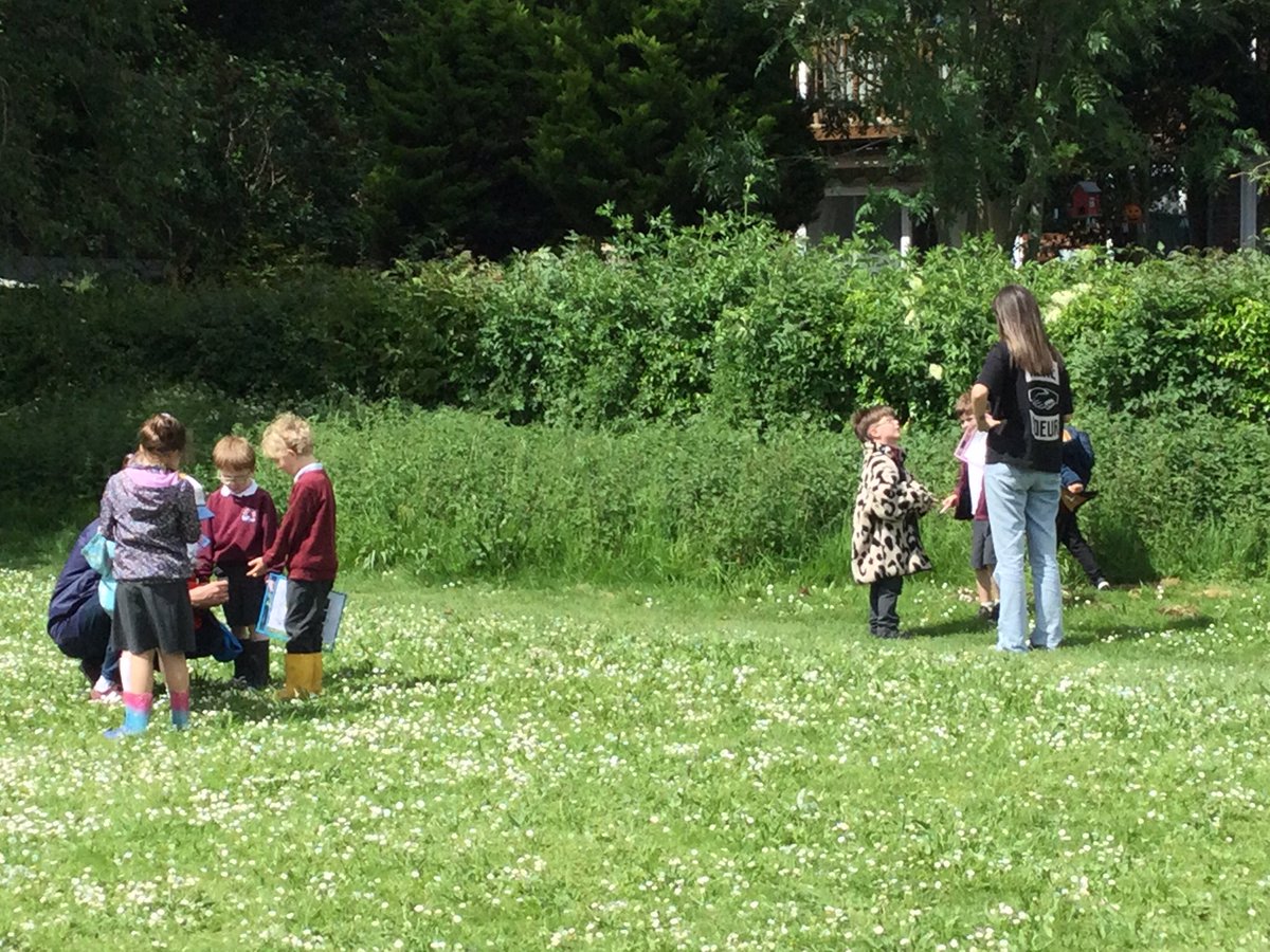 ThamesideSch's tweet photo. Year 1 identifying plants at nature school #hawkstps #eaglestps https://t.co/hitDKSj2FN