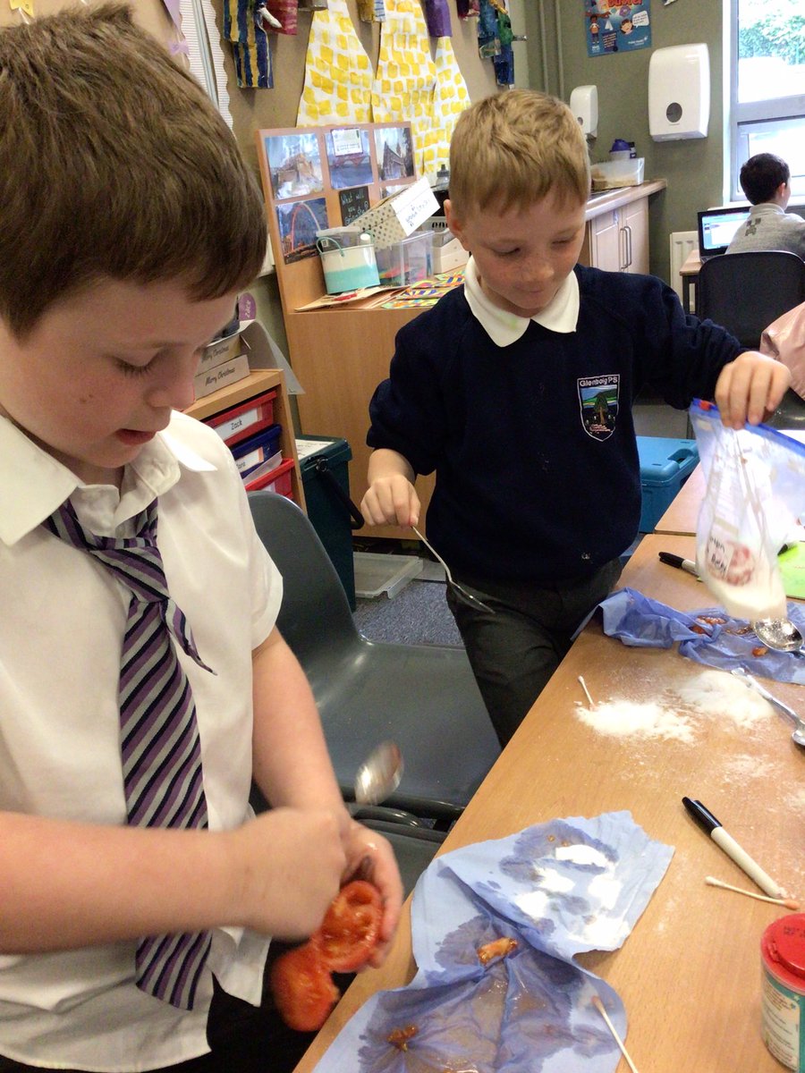 P3 have been learning about why & how the Egyptians mummified people. Today we recreated the mummification process using a tomato 🍅 We scooped &cleaned the inside, filled them up with salt, weighed them & then put them in a sealed bag. We can’t wait to see the results next week!