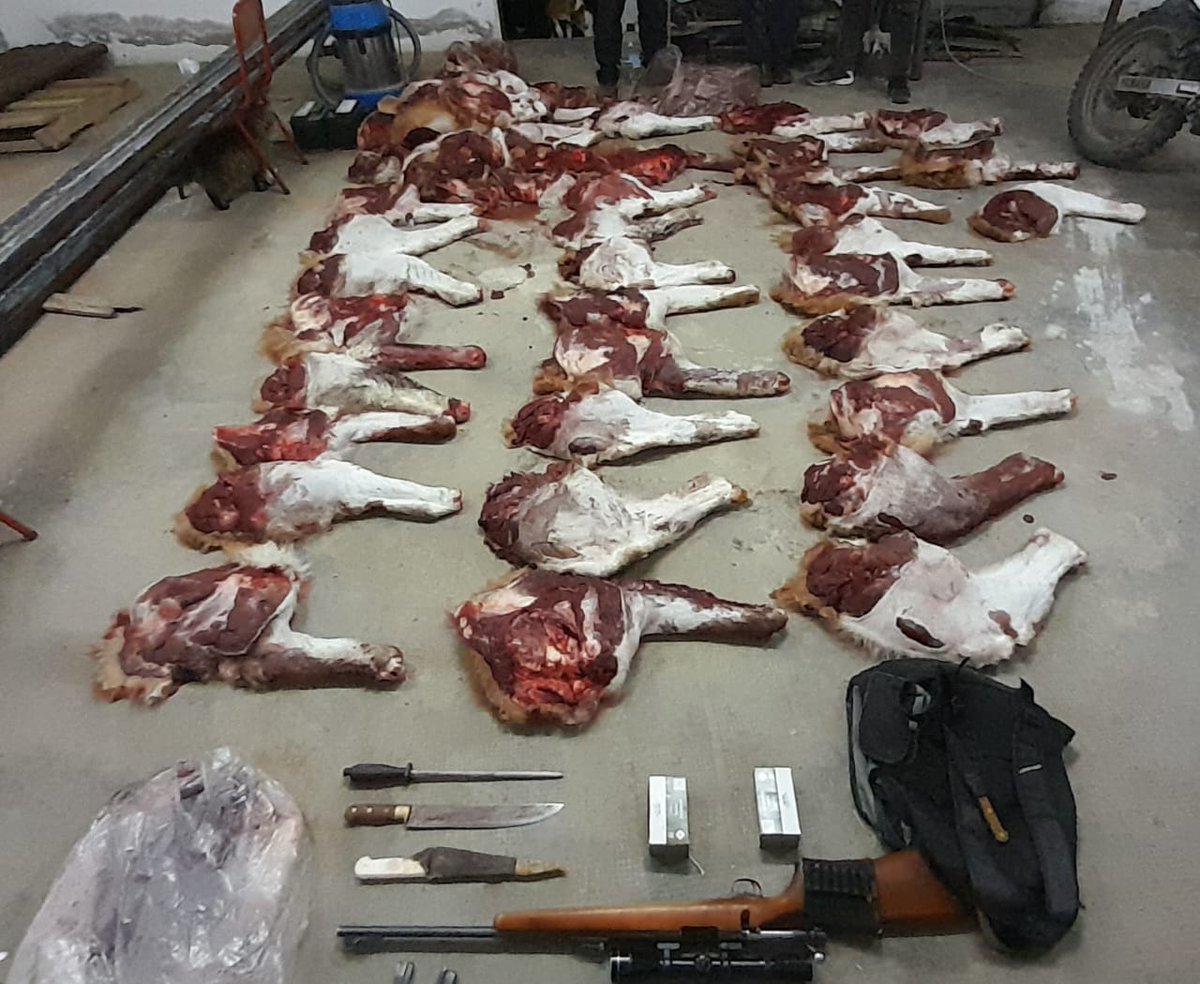 Jefatura.de.Policía tweet media