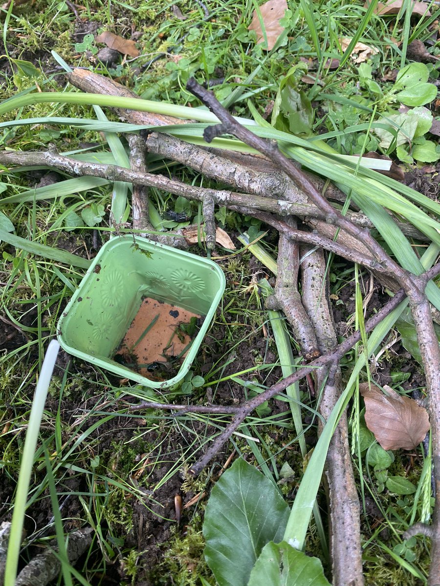 Mr Fraser tweet media