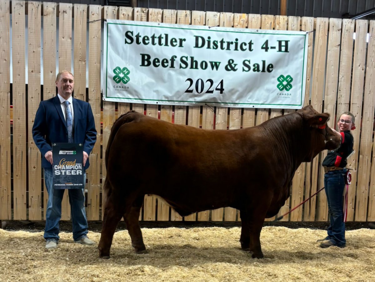 SilverSmithFarm's tweet photo. Thank you to Randy and Murray at Hanna Motor Products #hannagmc for purchasing Tulsa's District Grand Champion steer on Tuesday (as well as a few more!). FANTASTIC 4-H supporters, great products, and great people! #albertabeef #albertasimmental #alberta4h https://t.co/sCThDu5lZB