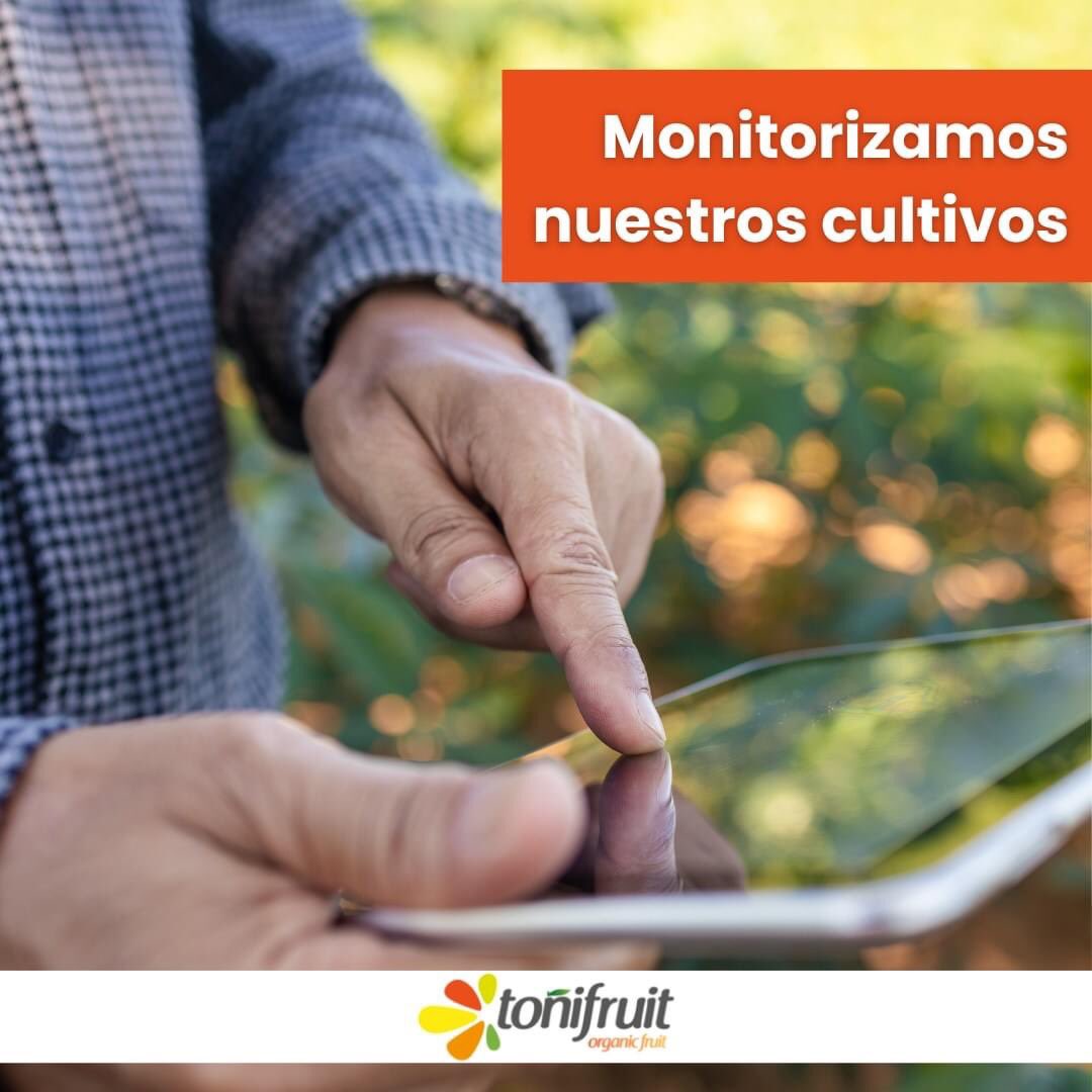 Toni_fruit's tweet photo. 🌿💻🍋 ¿Sabías que en Toñifruit hemos desarrollado una metodología de monitorización constante sobre nuestras producciones?
✅ Esto nos garantizan la máxima calidad y nos alerta de posibles contaminaciones externas. ¡Garantía de calidad natural!

#agriculturaecológica #Murcia https://t.co/QeKIo057hg