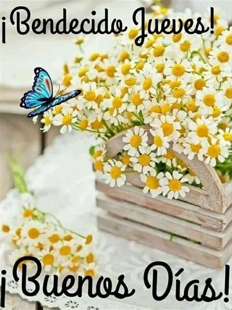 Excelente día 🌻