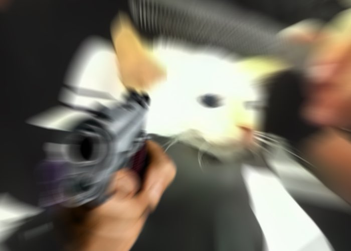 Hand that Solana summer over RIGHT NOW and no one gets hurt