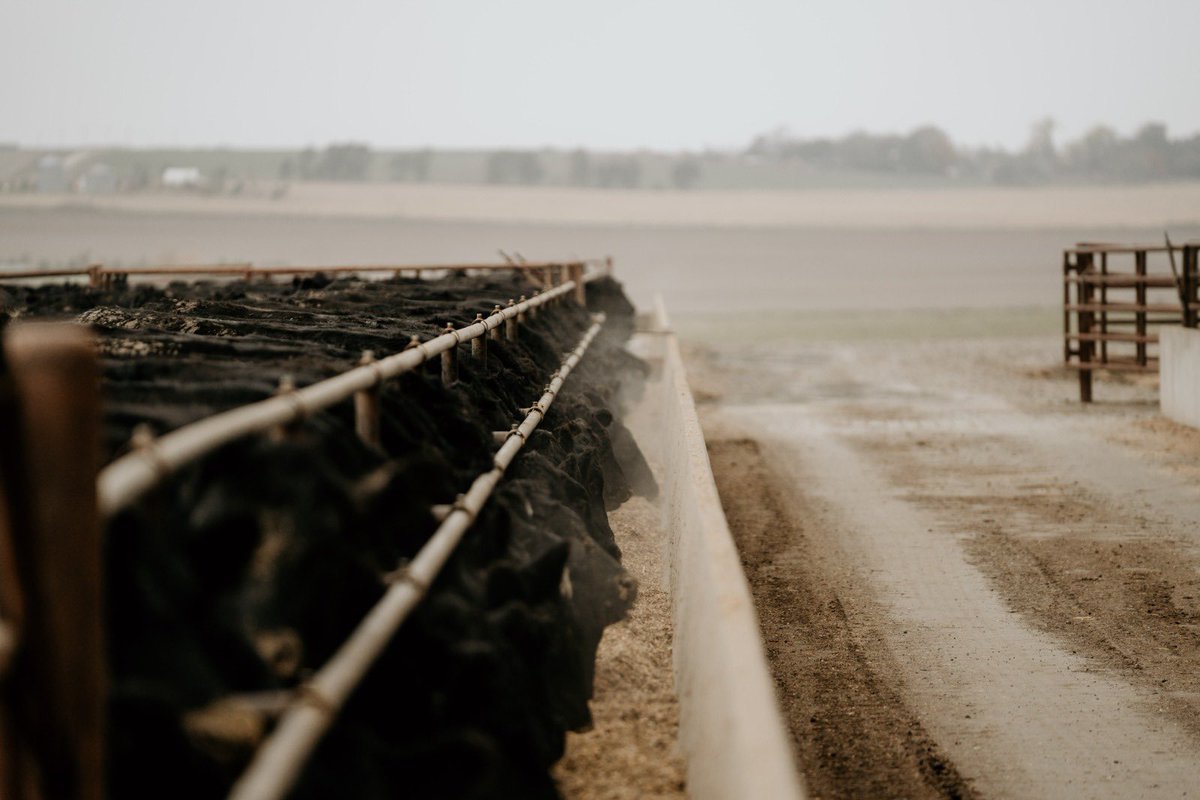 High-grip SR Slat Rubber installed in 📍Laurel, NE🐂

Our award-winning slat rubber awesome comfort for cattle ✅

Get in touch today!👇
easyfix.com
☎️ +1 605 261 1508