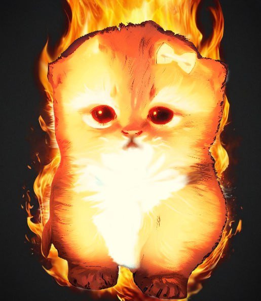 @lovelyhideous tweet media