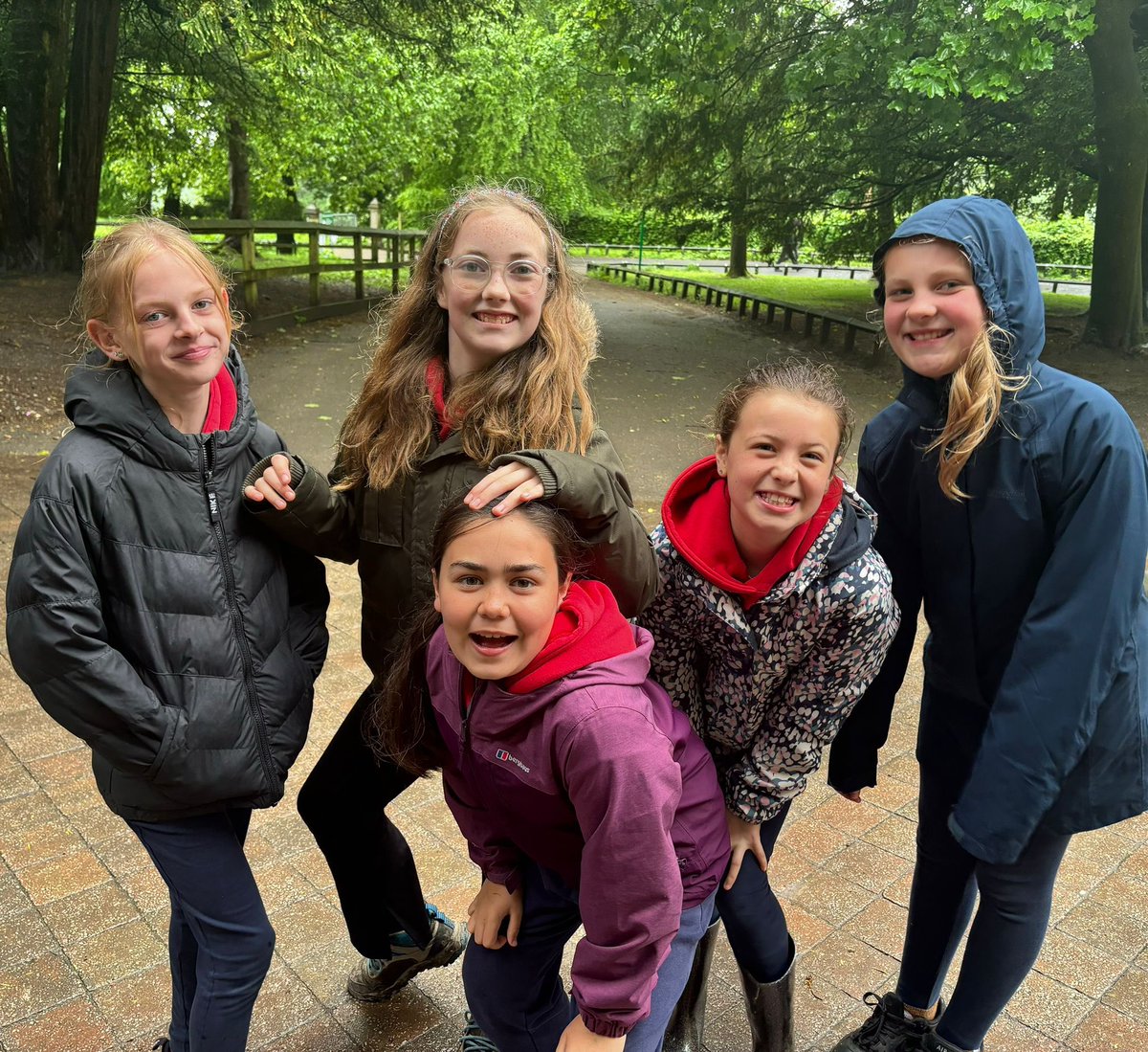 Newfold Sport tweet media