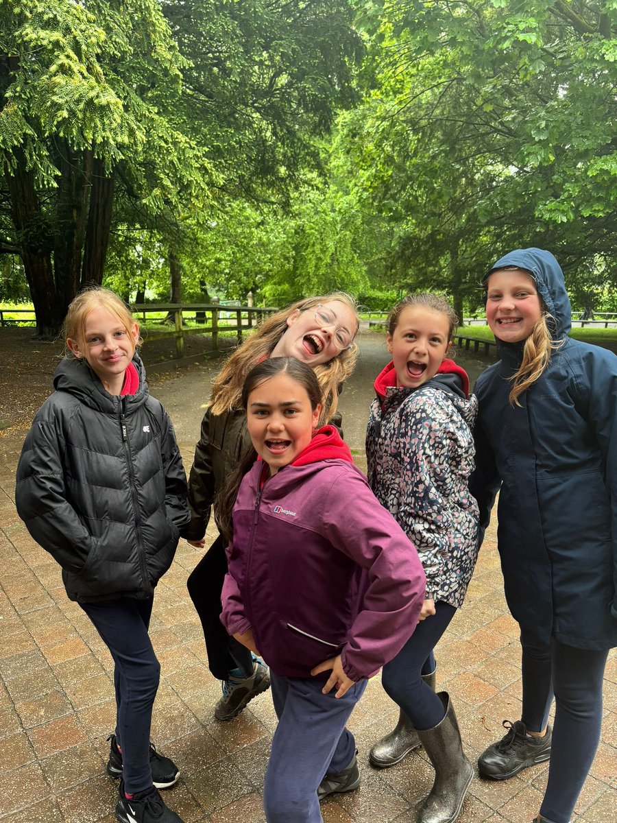 Newfold Sport tweet media