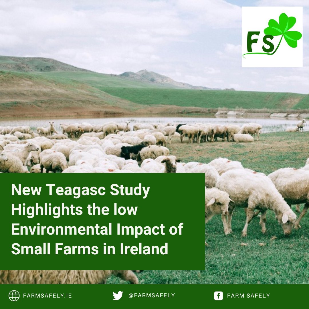 New Teagasc Study Highlights the low Environmental Impact of Small Farms in Ireland

Read more: farmsafely.ie/new-teagasc-st…

#farms #smallfarms #farmingstudy #cattle #sheep
