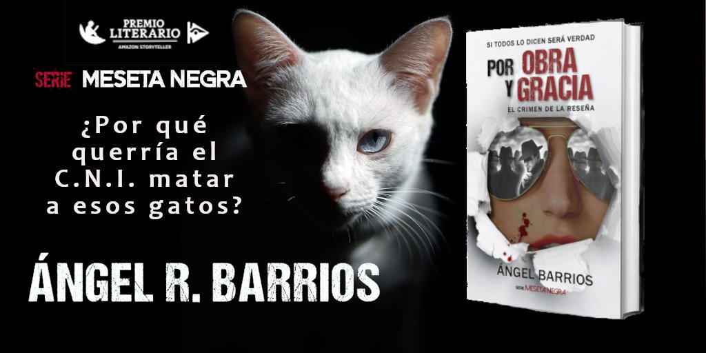 Nada más salir de la cárcel  escribe una reseña que le convierte en el hombre del momento. Esa misma noche su cuerpo aparece tirado en la calle. Ha sido asesinado.
POR OBRA Y GRACIA
El crimen de la reseña.
Un thriller de humor negro.
En #oferta #Amazon #kindledeal #ebooks