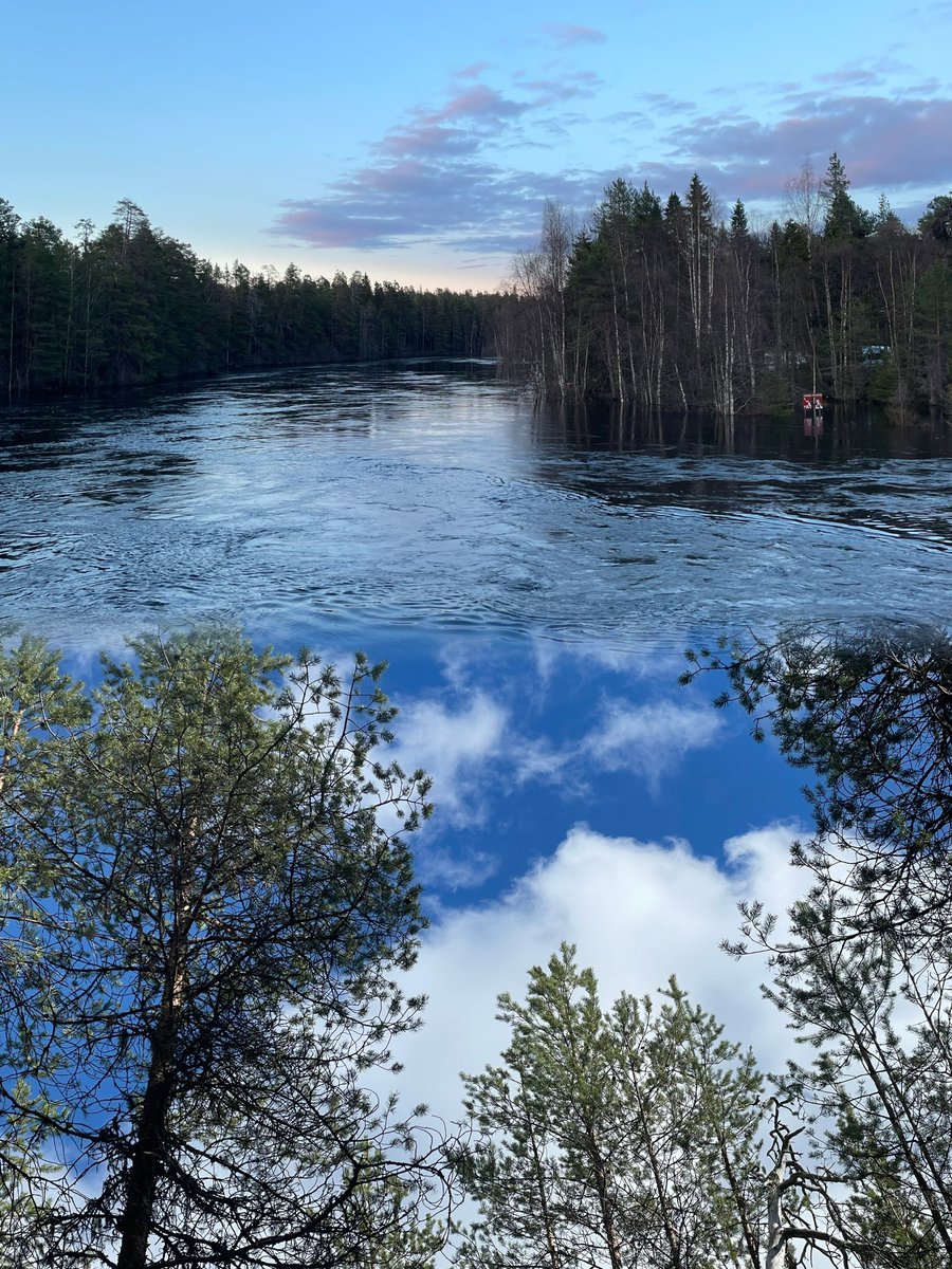 ZSN_Chen's tweet photo. How to build a complex #forest #ecohydrology research setup at @OulankaStation?🤔

Easy step1️⃣
• find a new notebook📗and a pen that you think you will never lose🖊
• forest inventory📐
• root mapping🩺 
• enjoy the snow-free forests🌲and ice-free rivers🌊

#BFF_Water #BoTWU https://t.co/4dSPsb5Se3