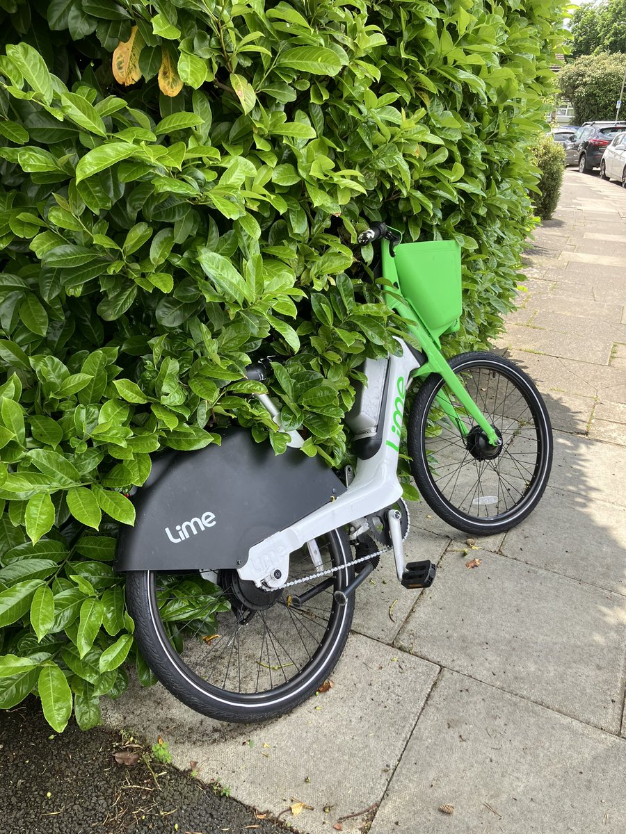 Avis Johns tweet media