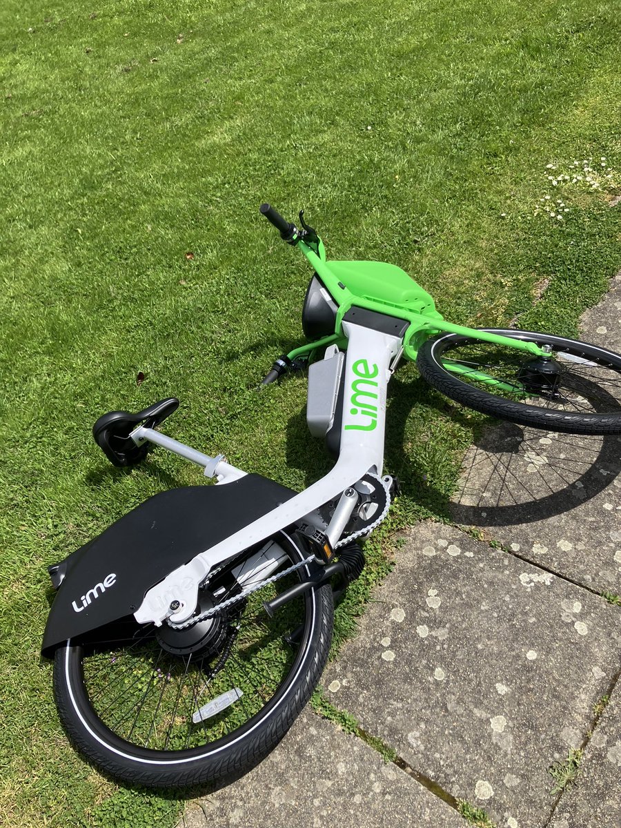 Avis Johns tweet media