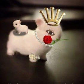 <a href="/1goonrich/">Quasar.Exe</a> Well now they know you're right, And I hope you're joining the $buni club too <a href="/bunicoinsol/">$buni</a>