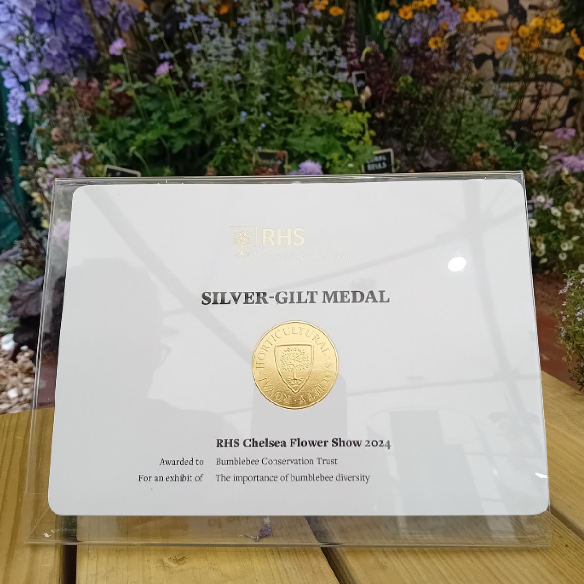 Accent have been at Chelsea Flower Show today, proudly supporting the <a href="/BumblebeeTrust/">Bumblebee Conservation Trust</a> 🐝
A huge congratulations to our partners on winning the silver-gilt medal!

#RHSChelsea #SaveTheBees