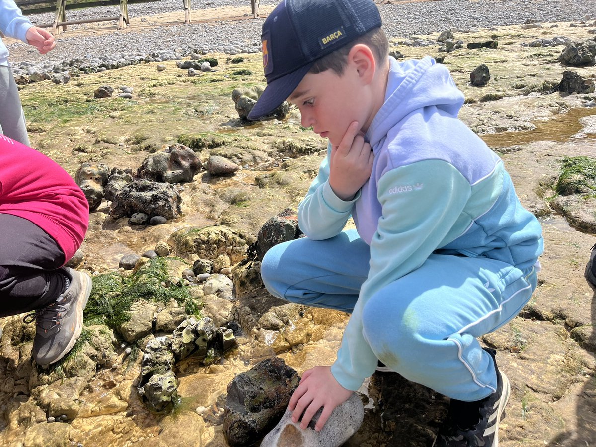 Linton Heights tweet media