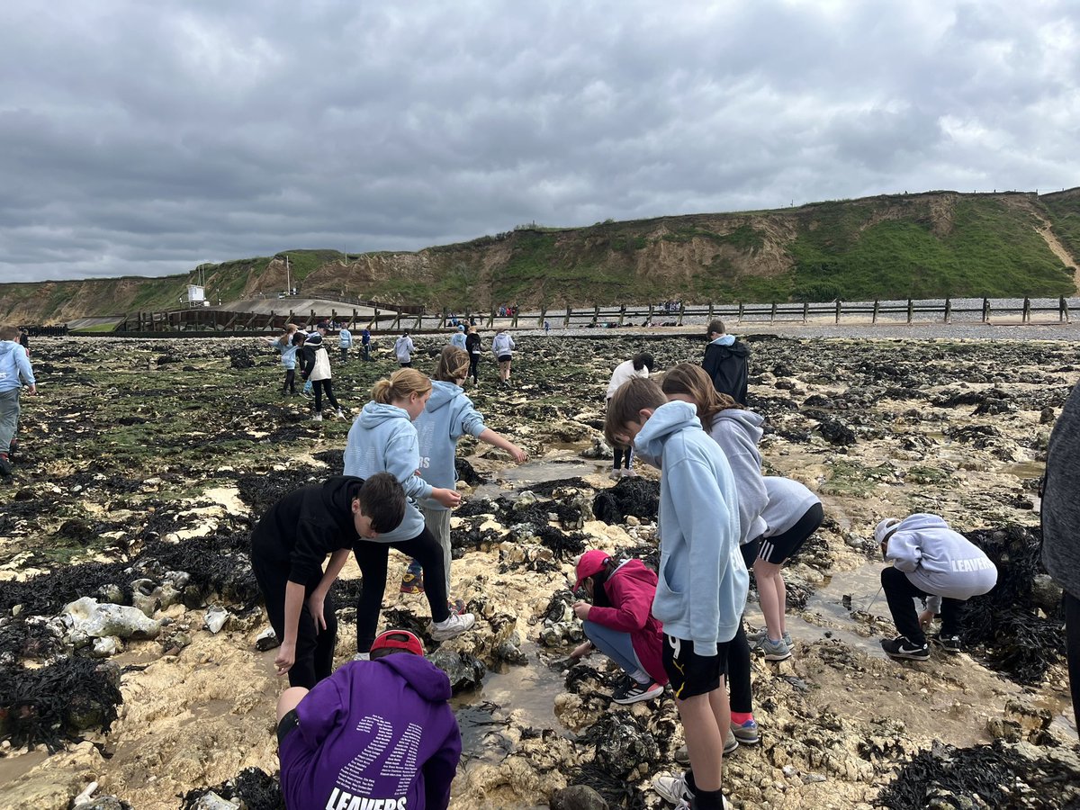 Linton Heights tweet media