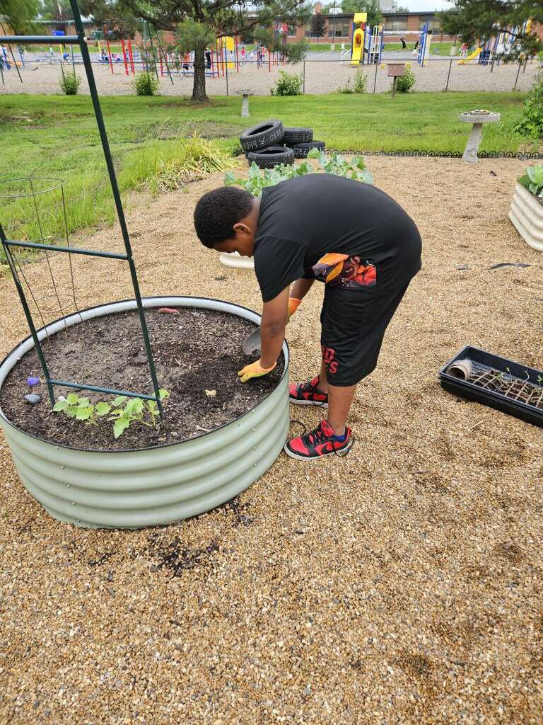 Our garden is growing and so are our opportunities for leadership! These 2nd graders are planting marigolds in our @HPCubs garden. 🪴 Thank you, boys, for helping our garden grow!