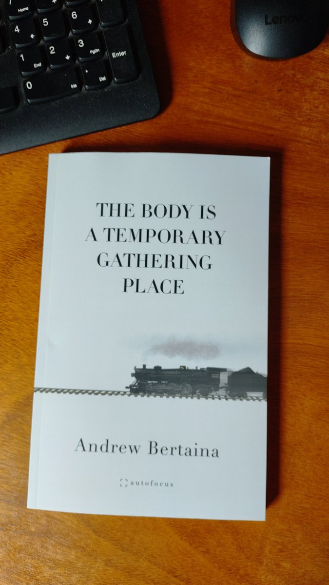 BOOK MAIL!!!!! I had to dodge a snapping turtle & a dozen turkeys to get to the mailbox, but it was worth it. @andrewbertaina's latest, available from @autofocuslit ❤️ autofocuslit.com/store/p/the-bo…