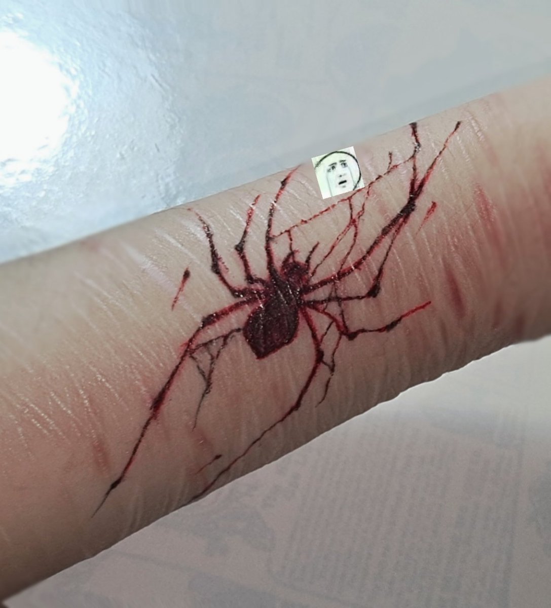 🕷️又画噜