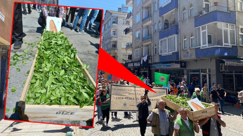 Erdoğan'ın memleketi Rize'de yaş çay alım fiyatı tabutla protesto edildi.

Yerel seçimlerde AKP yüzde 54, CHP yüzde 12 oy almıştı.