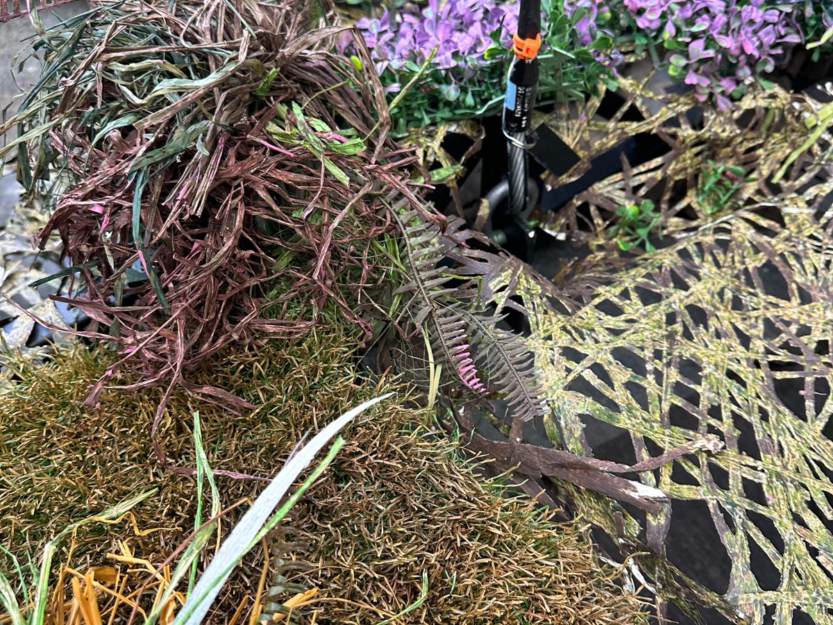 National Theatre tweet media