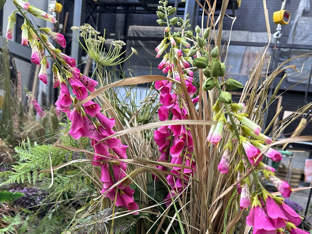 National Theatre tweet media