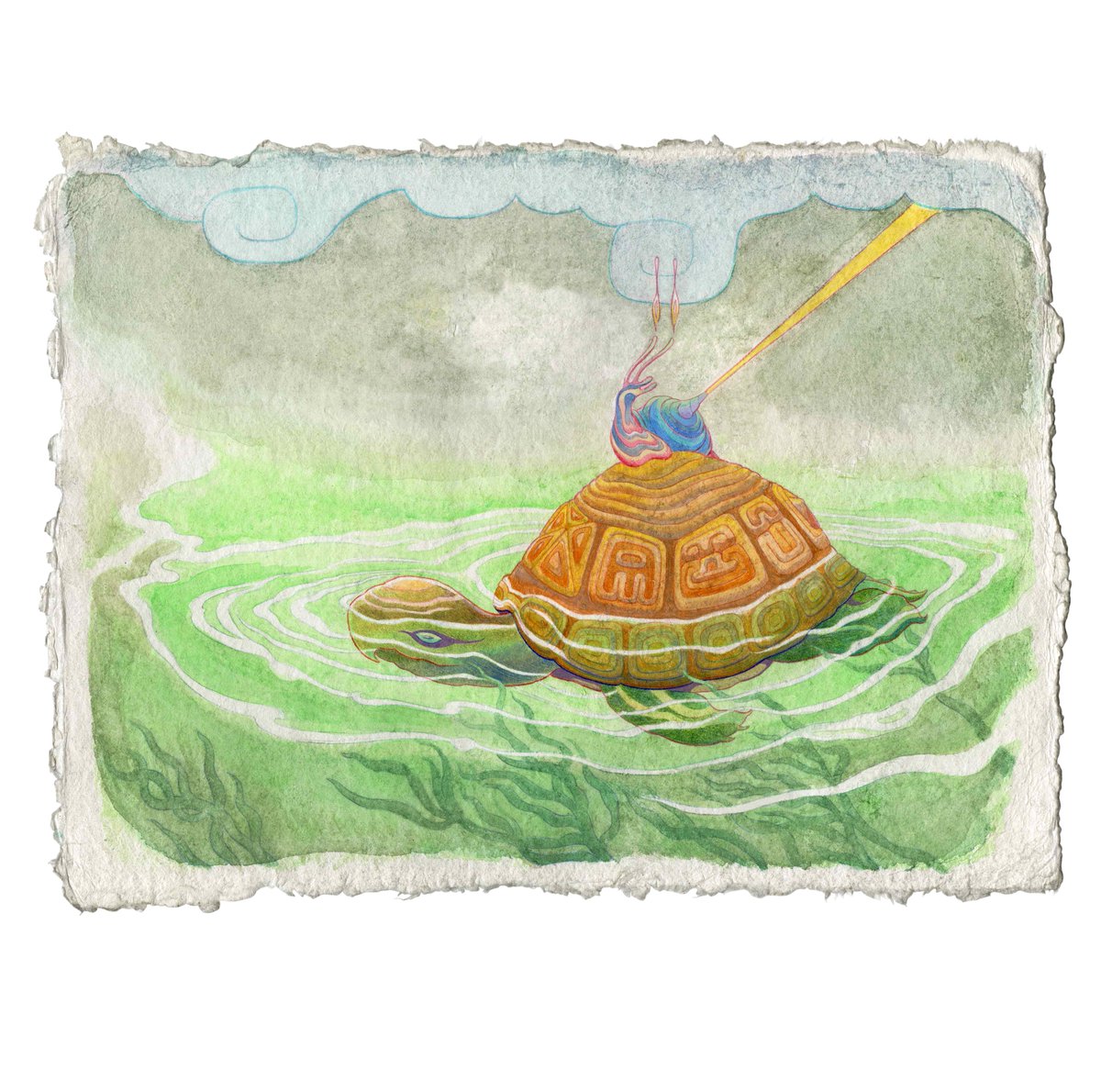 May 23 marks World Turtle Day. 🐢 Artist Felix Galvan explores Native peoples’ relationship to Turtle Island in this piece. #WorldTurtleDay #TurtleIsland