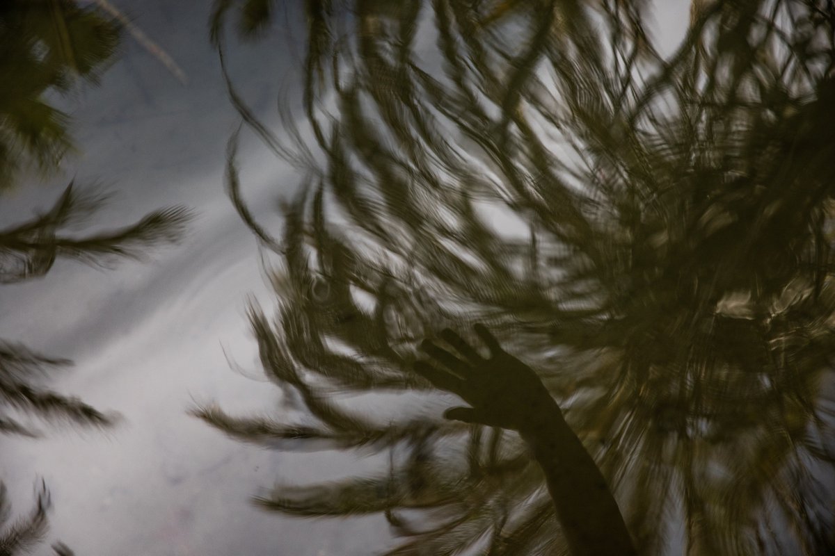 Pulitzer Center tweet media