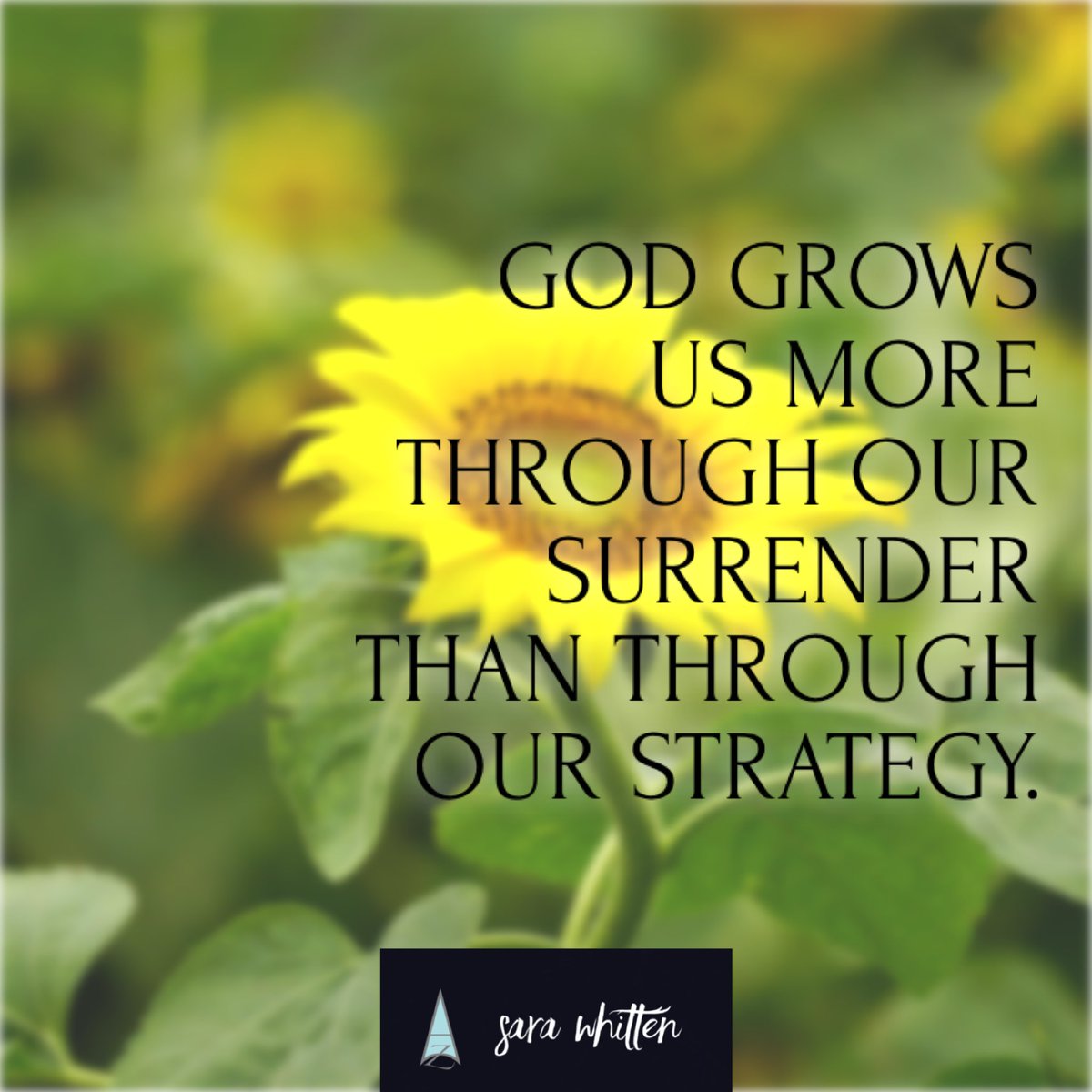 #surrender #spiritualgrowth #selfless #kingdomminded #hearGod #sarawhitten