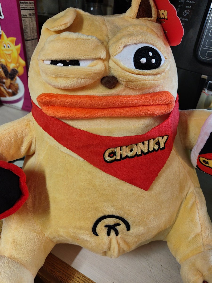 GM @chonkycom #CHONKY fam