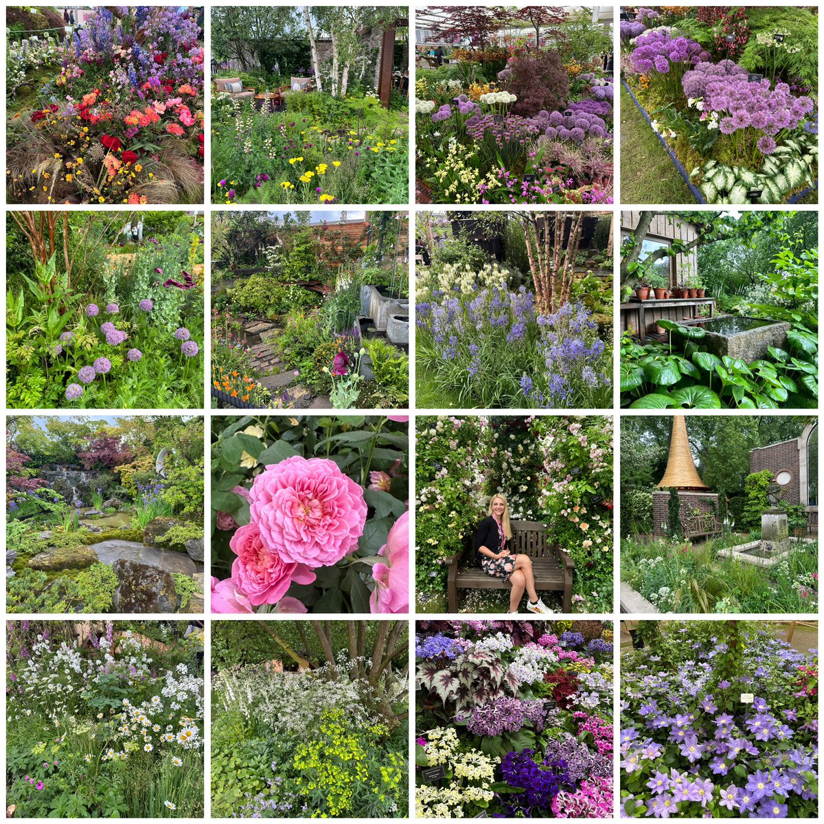 A few more favourites from a fantastic #RHSChelseaFlowerShow yesterday 🌸 #Flowers #Gardening