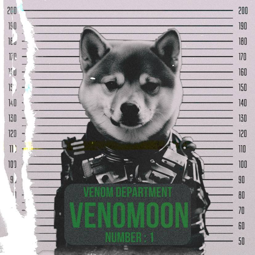 Venomooon's tweet photo. @Venom_network_ https://t.co/COpXoJ3eWg