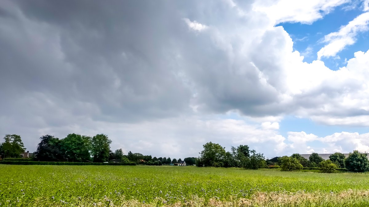 joshebben's tweet photo. Een kleine bui hierna weer opklaringen #Stramproy @weeronline @Weerplaza @_weernl @BuienRadarNL @MeteoVoorne @MeteoLimburg https://t.co/o26E7gawpJ