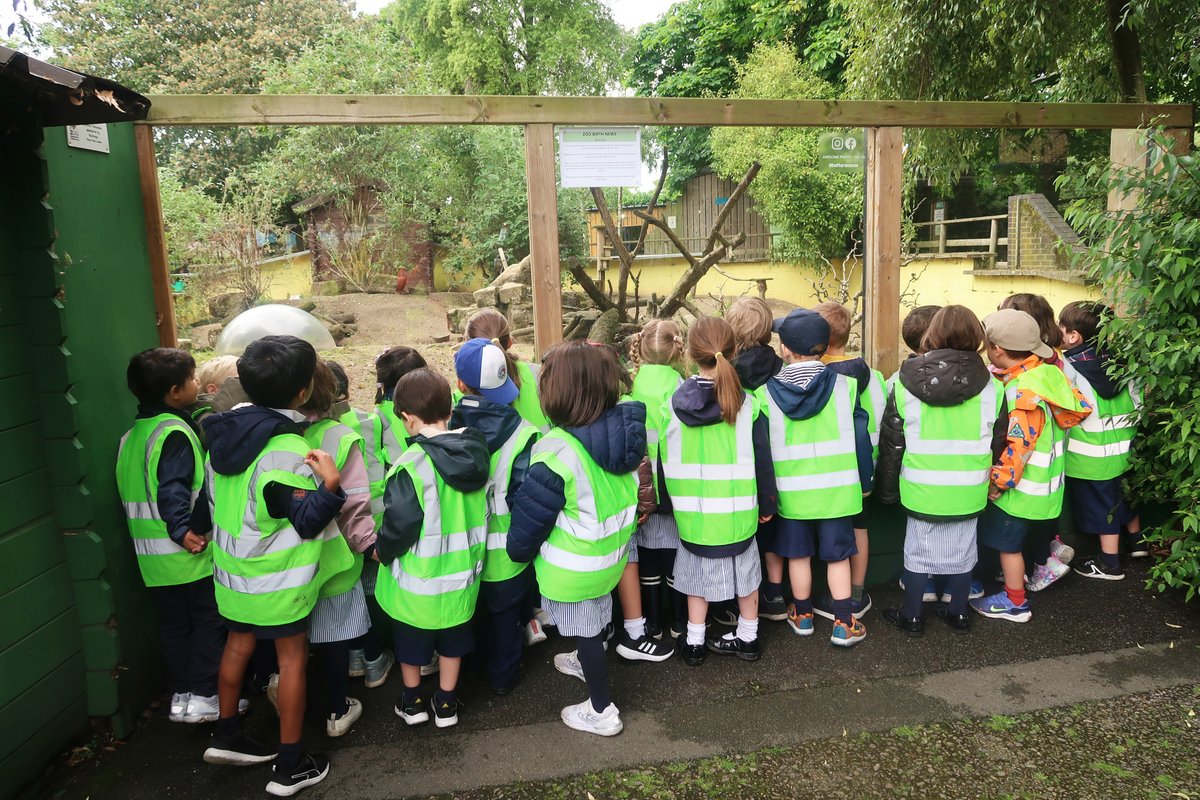 NewtonPrepSch's tweet photo. #NewtonReception had an exciting time at Battersea Park Zoo!πΎThey spotted all sorts of animals and learnt about herbivores, omnivore and carnivores in an interactive workshop provoking their curiosity and passion for the natural world!π¦
#NewtonAdventures #NewtonMemories https://t.co/1UFSZvEkat