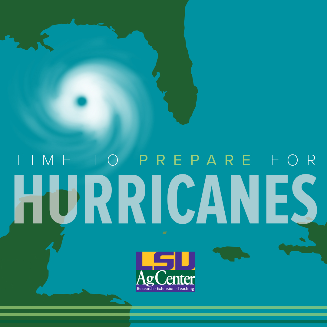 The National Oceanic and Atmospheric Administration is predicting an above-average hurricane season with the potential of 17 to 25 named storms. Hurricane season starts June 1. LSU AgCenter specialists offer guidance for staying prepared: tinyurl.com/HurricaneSeaso… @MargaretOrr